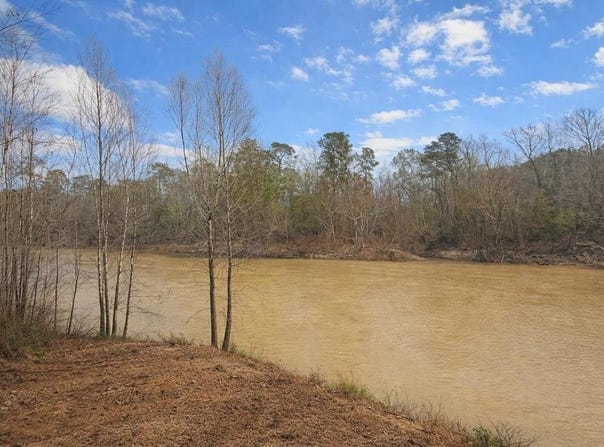 274 county road 3945, Colmesneil, TX 75938