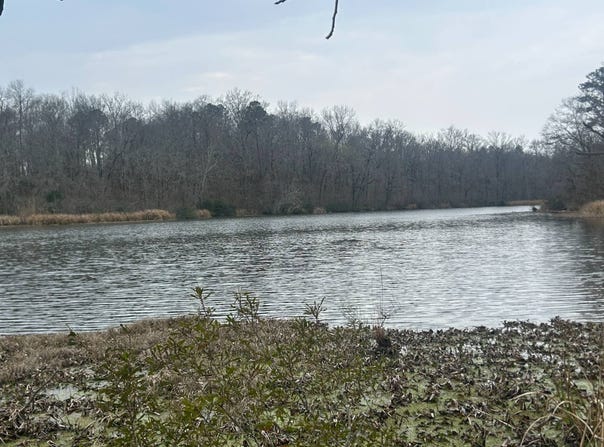 County Road 29, Alberta, AL 36720