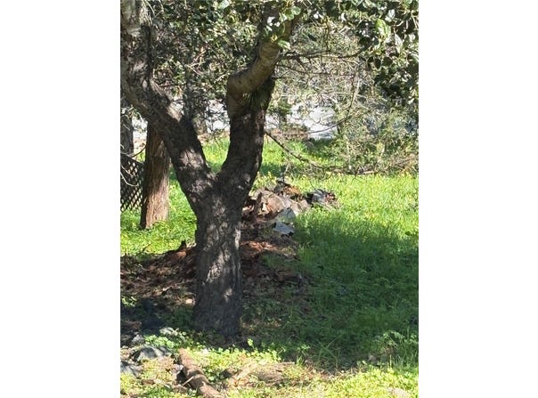 0 Spencer, Cambria, CA 93428
