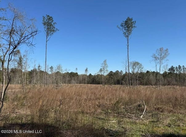 Bilbrew Road, Pisgah, MS 39047