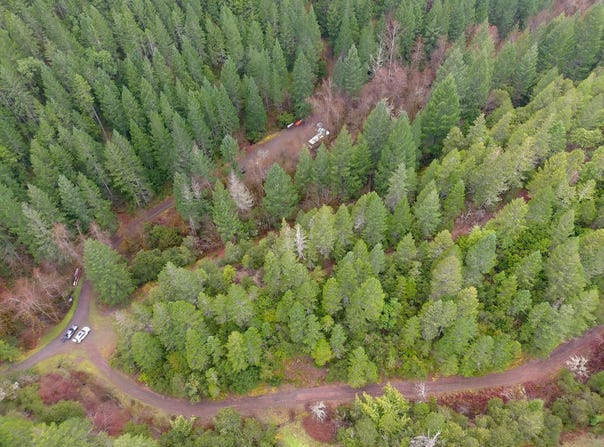 1802 Waters Creek Road, Wilderville, OR 97543