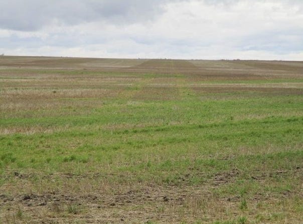Sarles, ND 58339