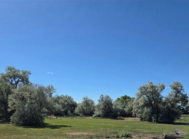 216 Lane 9, Powell, WY 82435
