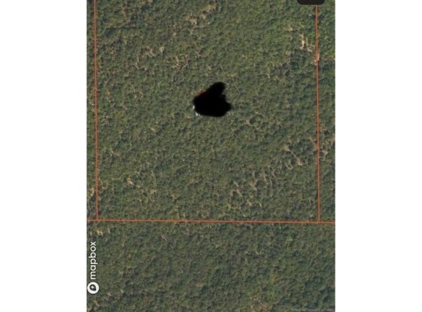 State Hwy 31, Quinton, OK 74561