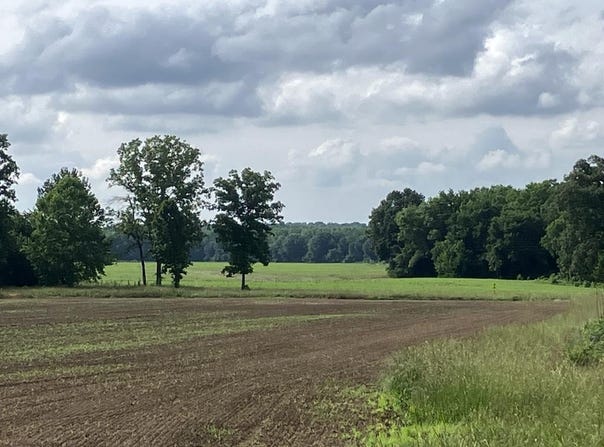 Tumbling Creek, GLEASON, TN 38229