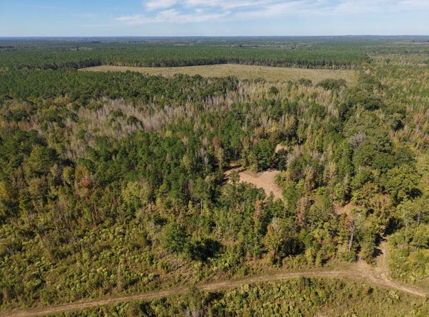 County Rd 14, Flatwood, AL 36728