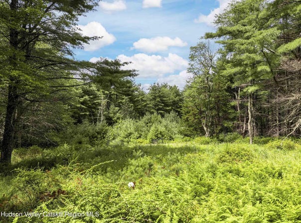 154 Lang Road, Accord, NY 12404