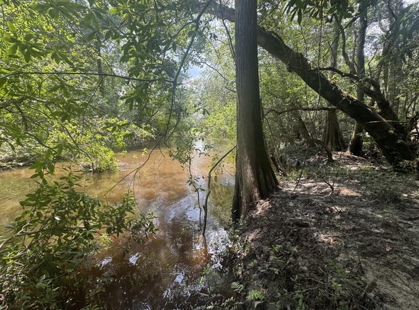 Plantation Lane lot: 14, DeFuniak Springs, FL 32433