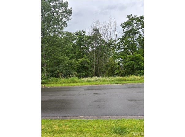 7991 Everglades Drive, Manlius, NY 13104