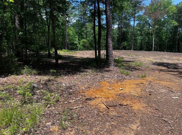 1779 County Road 54, Ozark, AL 36360