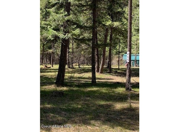 405 Shady Ln, Wallace, ID 83873