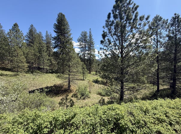 FIR Ln, CURLEW, WA 99118