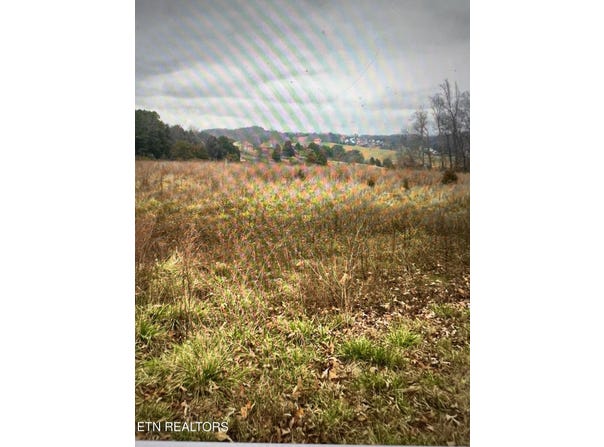 8200 Schroeder Rd, Powell, TN 37849