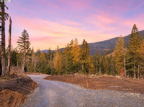 E BELLE LAKE Rd, Rhododendron, OR 97049