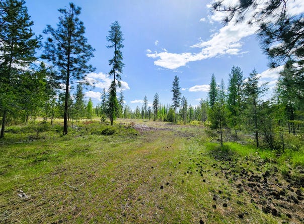3669 E JUMPOFF Rd, VALLEY, WA 99181