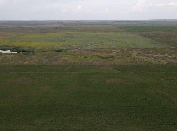 11049 230th Avenue, Watauga, SD 57660