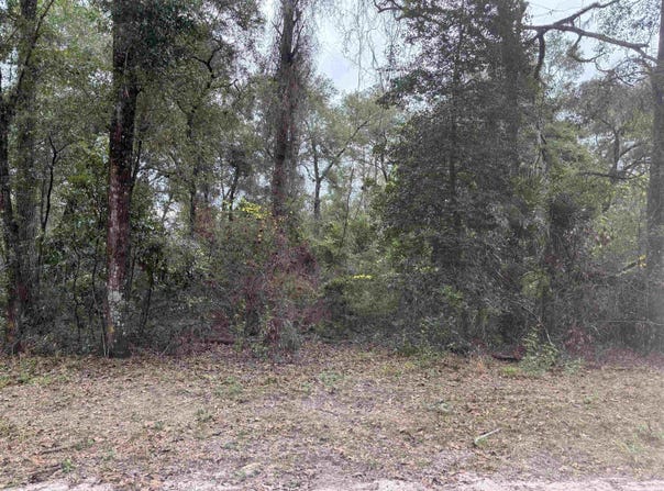 133 Rochelise Road, Crawfordville, FL 32327