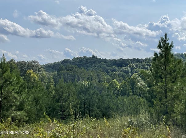 Ridgeline Drive, Vonore, TN 37885