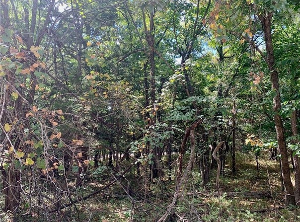 9 Enchanted Lane, Linn Valley, KS 66040