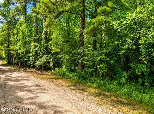 Belle Gardner Road, Amite, LA 70422