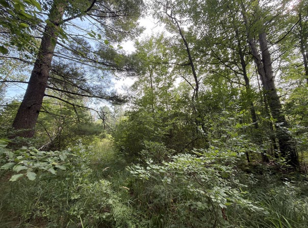 US-31, Manistee, MI 49660
