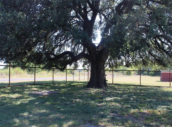 7901 COUNTY ROAD 620, Blanket, TX 76432