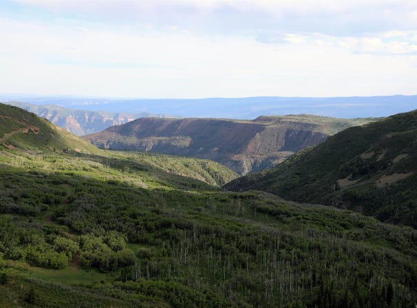 MS Road, Glade Park, CO 81522