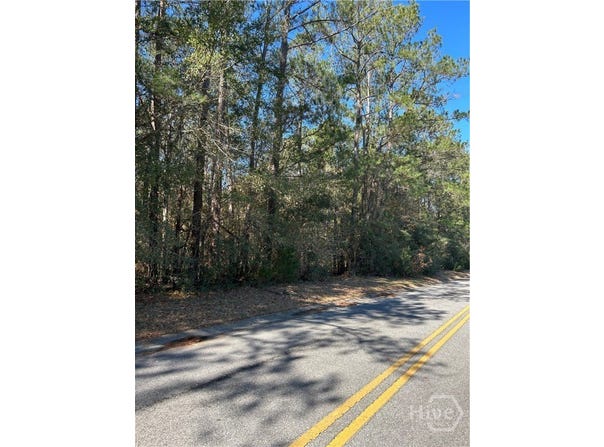 Palm Island Drive lot: 4, Midway, GA 31320