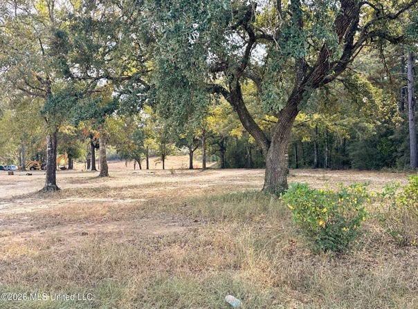 8.75ac Mann Lane, Lucedale, MS 39452