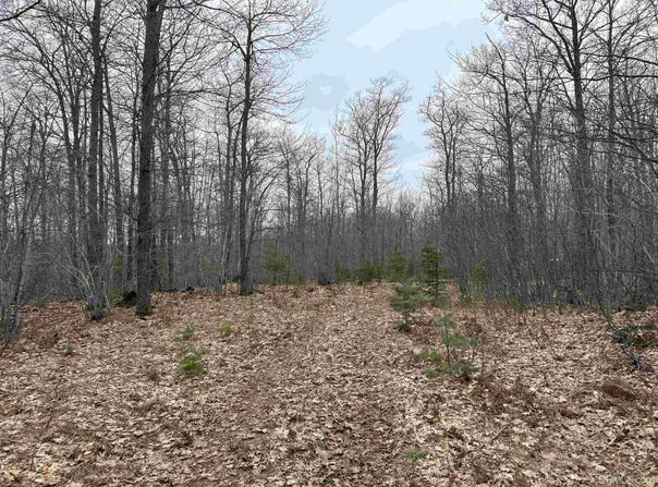 Near Krooks Drive, Negaunee, MI 49866