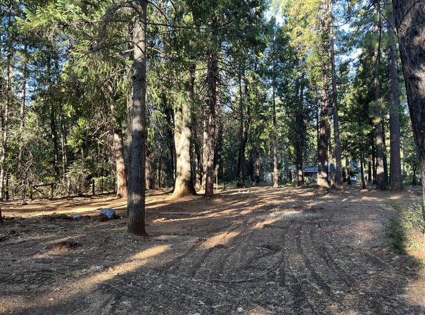 7076 Alward Way, Shingletown, CA 96088