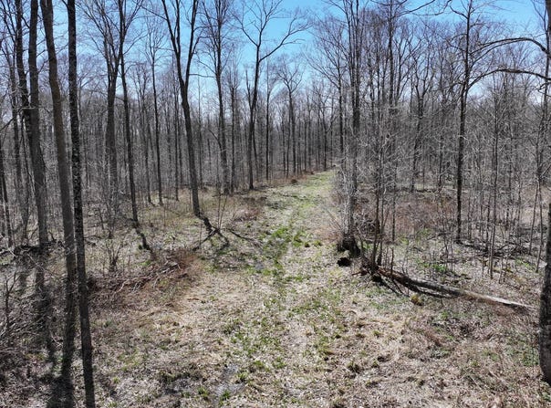Konsella Road, Gilman, WI 54433