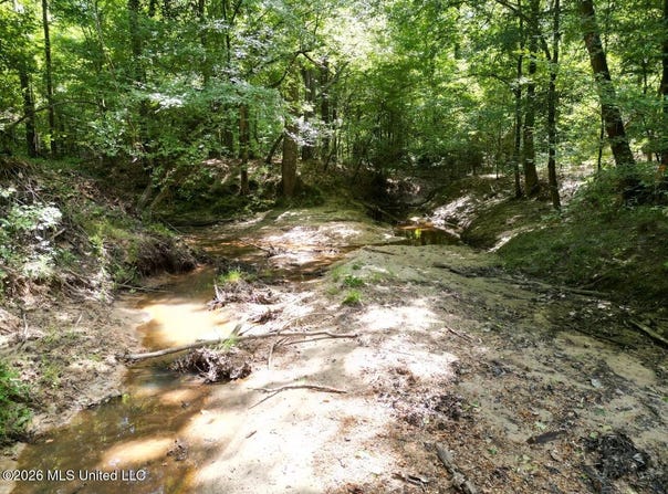 Pam Road, Harrisonburg, LA 71340