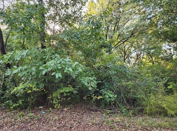 Lakeview Drive, Langley, OK 74350