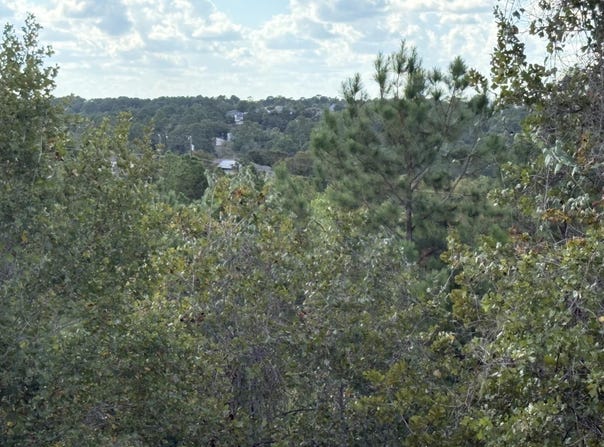 TBD Lot 35 Pinecrest Dr, Bastrop, TX 78602