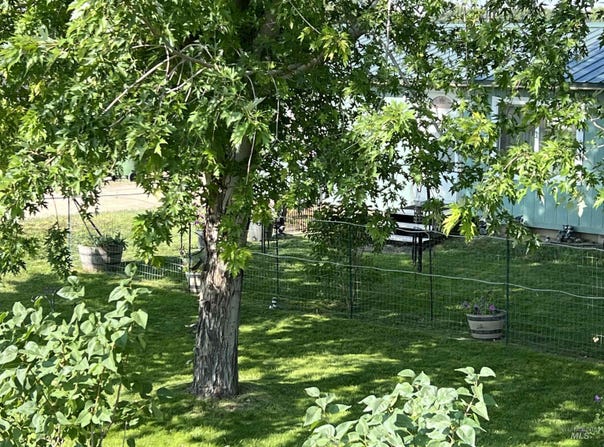 Stephen Lane, Parma, ID 83660