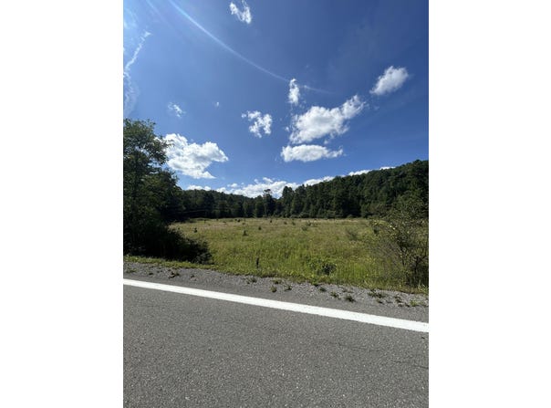1 Lost Bottom Run Rd, Marlinton, WV 24954