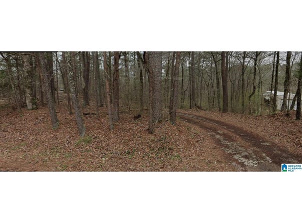 7420 DEWEY GOODWIN ROAD lot: 0, PINSON, AL 35126
