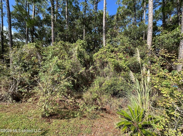 Pinewood Drive, Pass Christian, MS 39571