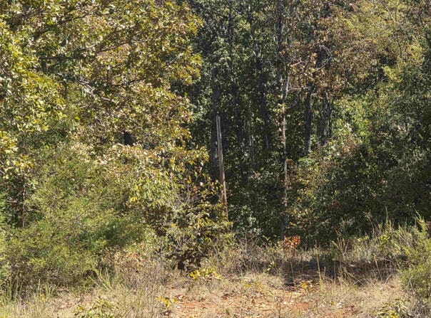 L5 B8 Dannels Drive, Highland, AR 72542