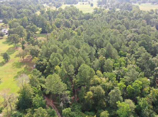 Reedy Creek, Laurel, MS 39443