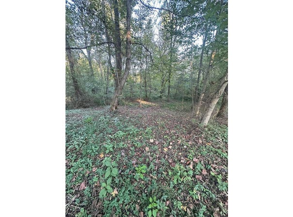30 Misty River Resort, Burkesville, KY 42717