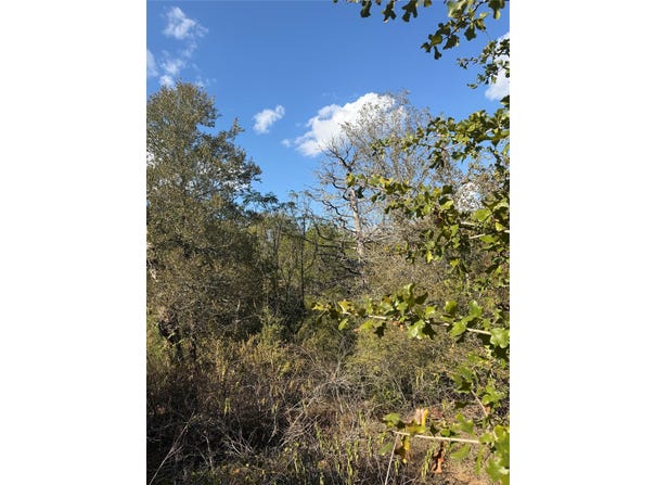 Palikea Cir lot: 539, Bastrop, TX 78602