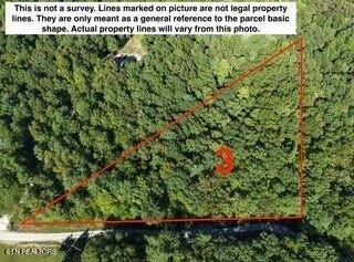 Bear Hollow Rd, Oneida, TN 37841