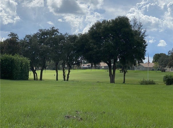 13423 Trailing Moss Drive, Dade City, FL 33525