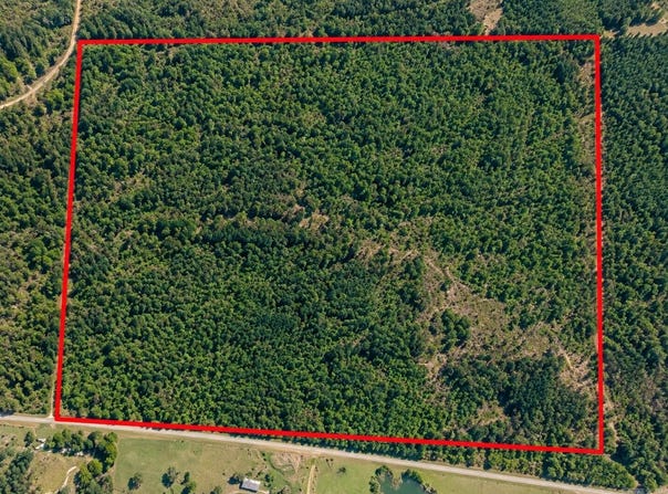 Goodfellow Road, Star City, AR 71667