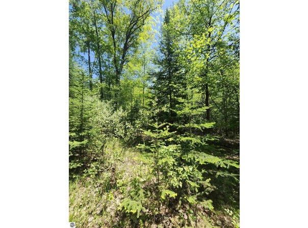 0 Rose Circle, Lupton, MI 48635