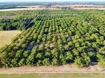 Tx-16 Highway, De Leon, TX 76444