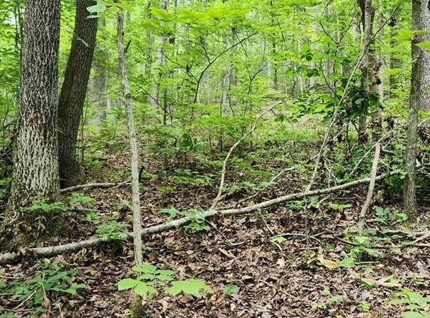 b010 Lakeview Trail, HOLLADAY, TN 38341