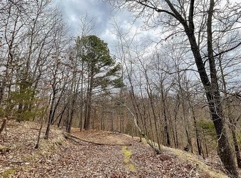 288 Crossroads Drive, Kansas, OK 74347